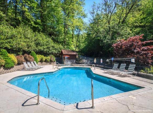 Another Day In Bearadise By Stony Brook Cabins Gatlinburg Exterior photo
